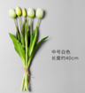 Tulip5-white