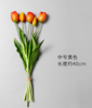  Tulip5-orange