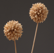 Dried flower balls