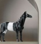 Horse- white&black