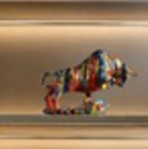 Colorfull fighting bull